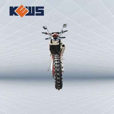 K20 il modello Euro Bike Motorcycle 300CC rifornisce le bici di combustibile iniettate della sporcizia